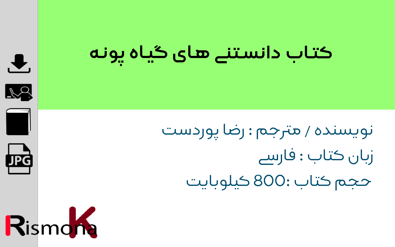 تصویر شاخص