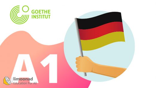 goethe-11-1.jpg